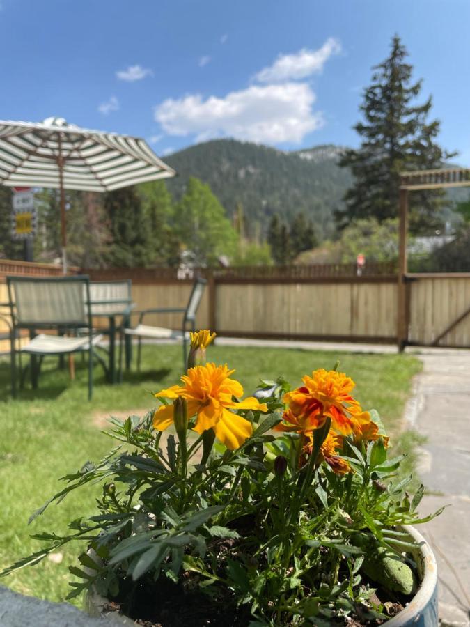 Villa Three Peaks Banff Esterno foto